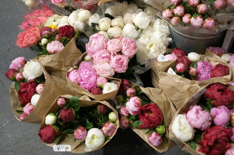 Beautiful bouquets of red, pink, and white peonies arranged for a wedding florist display.